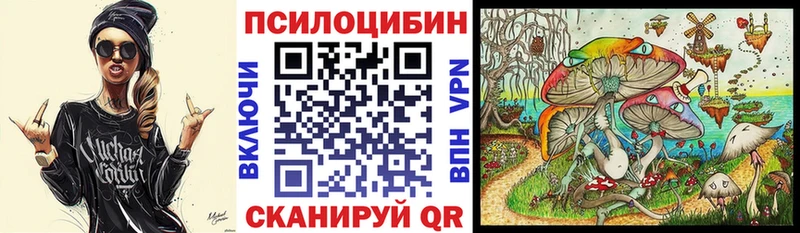 Галлюциногенные грибы Psilocybe  Судогда 