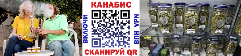 где купить   Судогда  Бошки марихуана OG Kush 